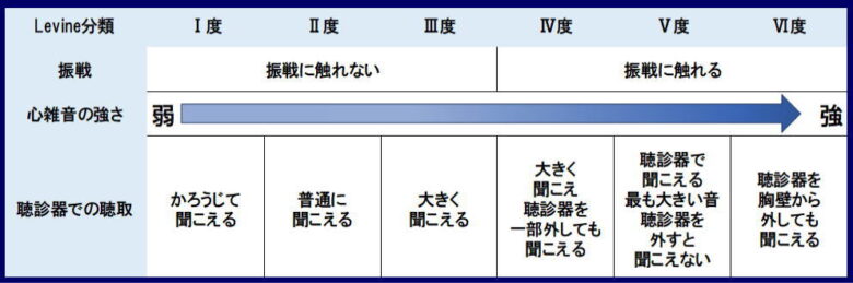 心雑音強度分類