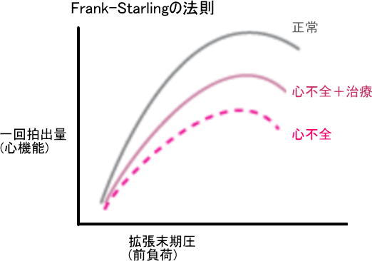 Frank-Starlingの法則
