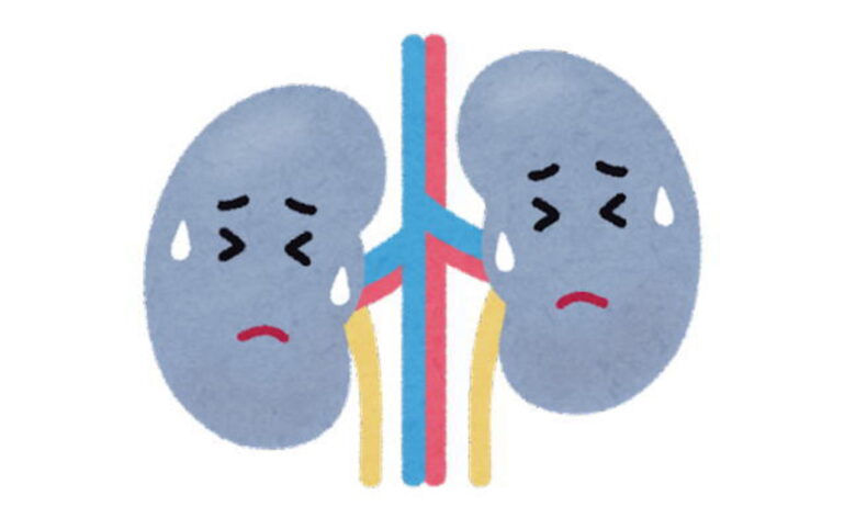 看護ブログ：機能低下腎臓イメージ