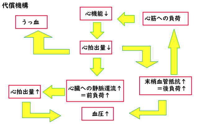 心臓代償機構